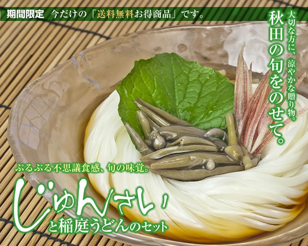 じゅんさいと稲庭うどんのセットメインイメージ
