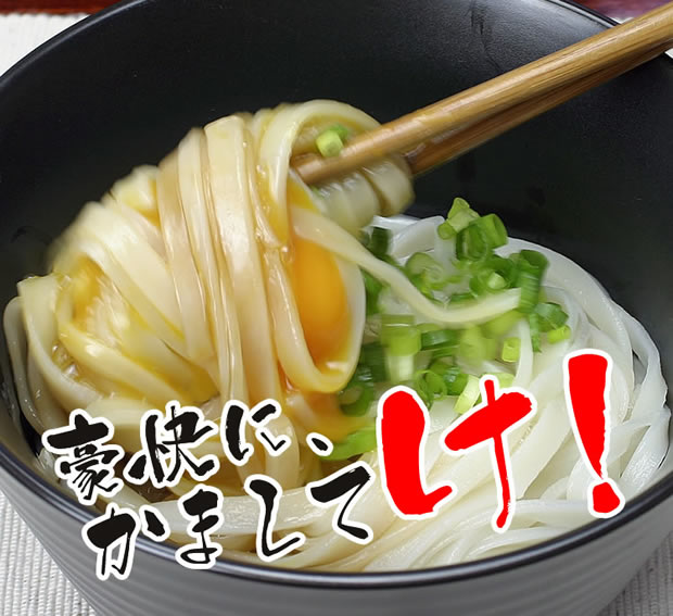 稲庭うどん初のぶっかけタイプ
